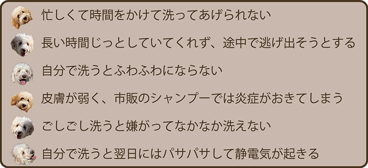 忙しくて時間をかけて洗ってあげられない
長い時間じっとしていてくれず、途中で逃げ出そうとする
自分で洗うとふわふわにならない
皮膚が弱く、市販のシャンプーでは炎症がおきてしまう
ごしごし洗うと嫌がってなかなか洗えない
自分で洗うと翌日にはパサパサして静電気が起きる